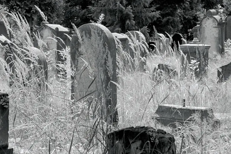 Neuer Jüdischer Friedhof Dresden