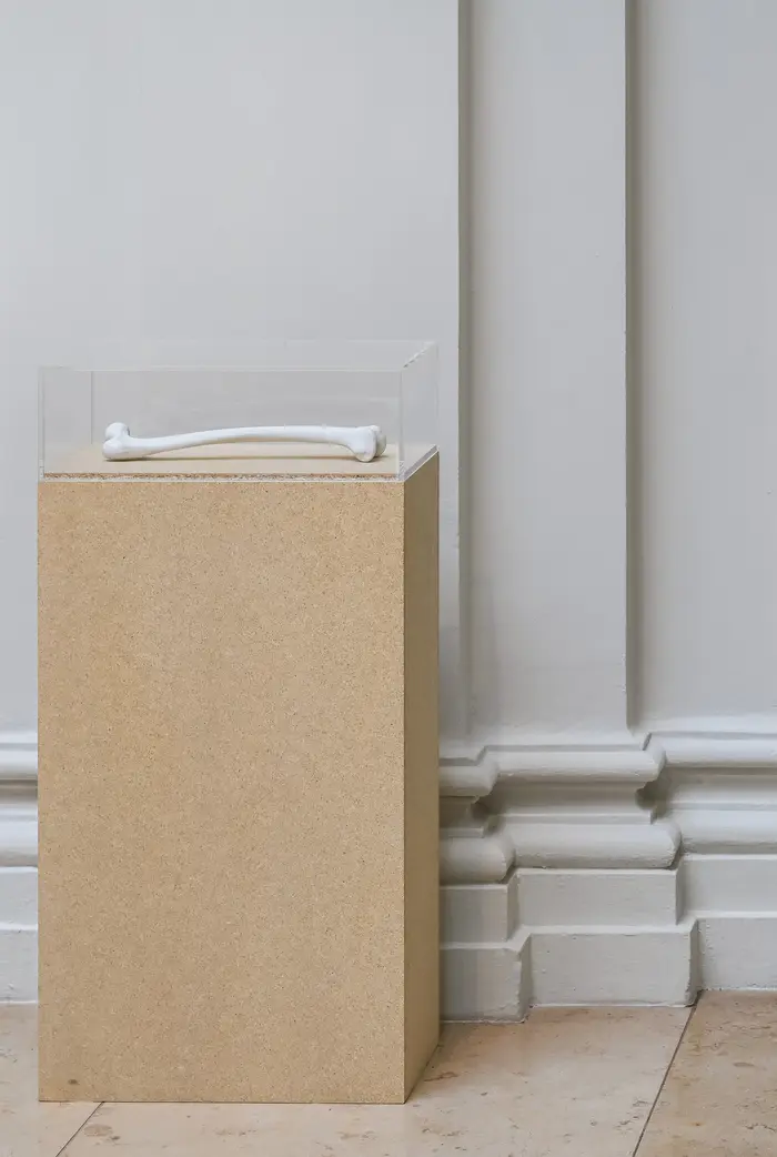 Die hochformatige Fotografie zeigt Isa Genzkens Werk "Femur" - eine täuschend echt anmutende, aus biskuitporzellan angefertigte Replikation eines menschlichen Oberschenkelknochens auf einem etwa 1m hohen Holzsockel vor einer hellen Wand. 