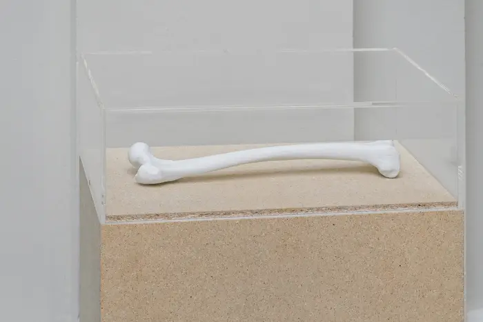 Isa Genzken, Femur, 1990.