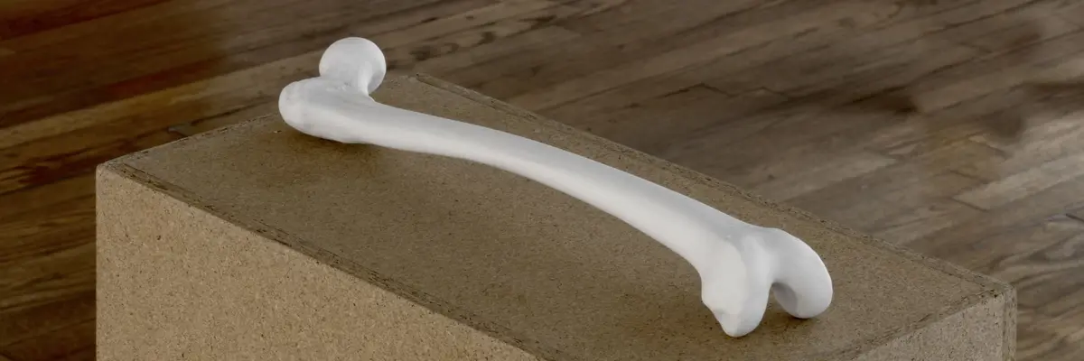 Zu sehen ist ein in Biskuitporzellan gegossener menschlicher Oberschenkelknochen platziert auf einem Sockel aus Sperrholz.