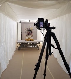 Foto, Aufbau zur Aufnahme des Blumenstraußes auf Porzellan inklusive Zelt, Fototisch und Kamera Kamera, die einen Blumenstrauß aus Porzellan fotografiert