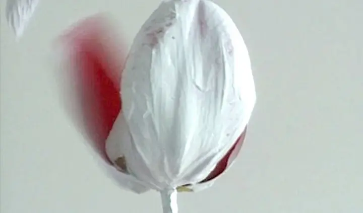 A K Dolven, still life