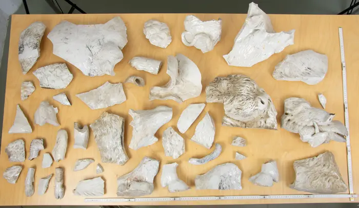 Fragmente einer Tierplastik aus Meissener Porzellan