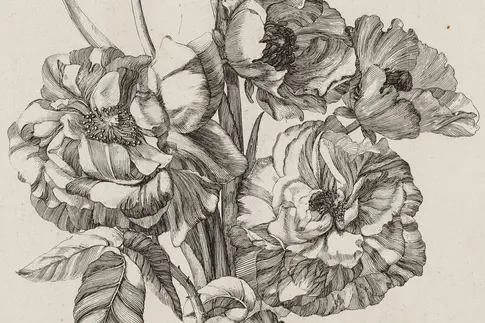 Forschung: Grafische Vorlagen für Malerei der Meissener Porzellan-Manufaktur im 18. Jahrhundert